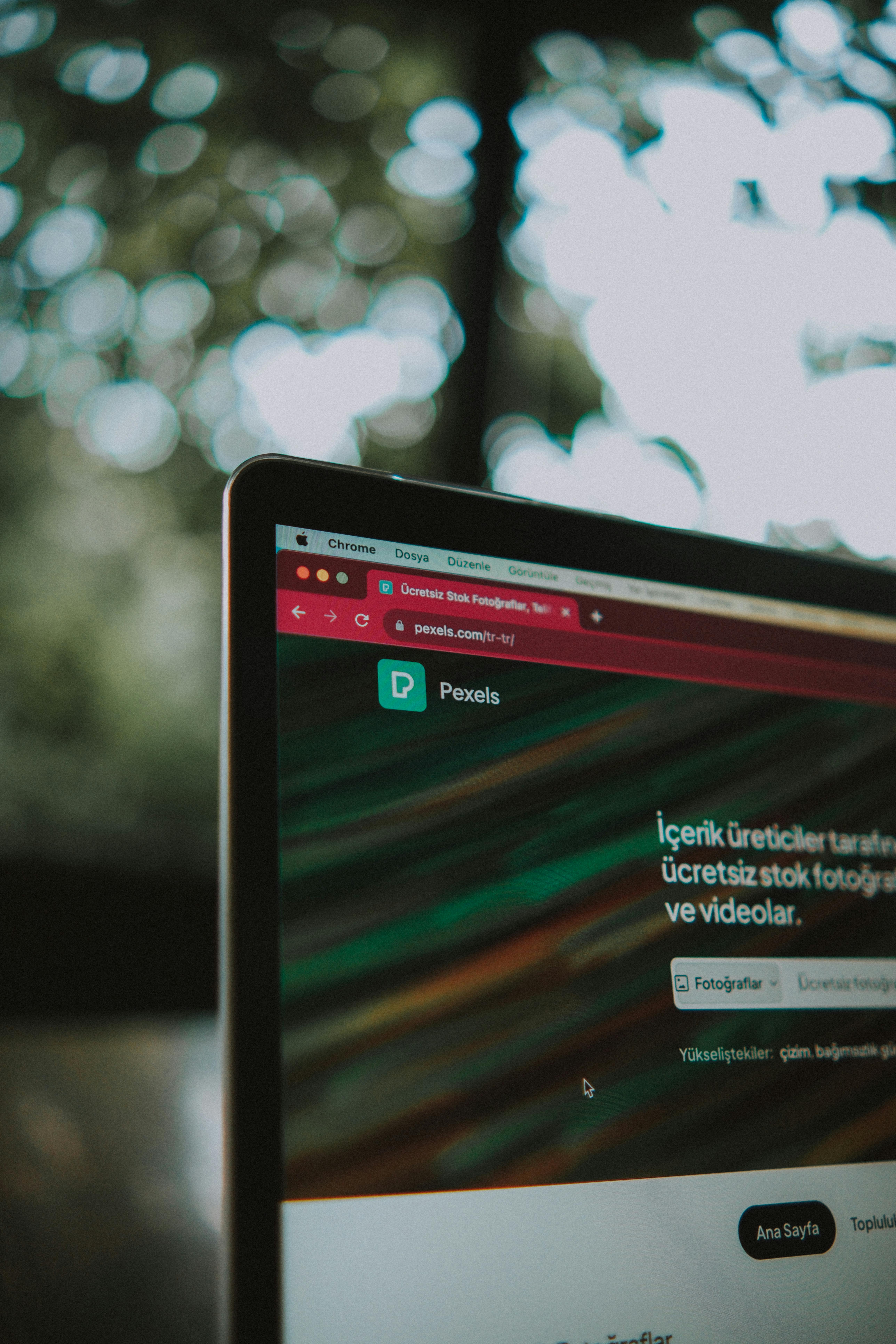 Application & Web Development